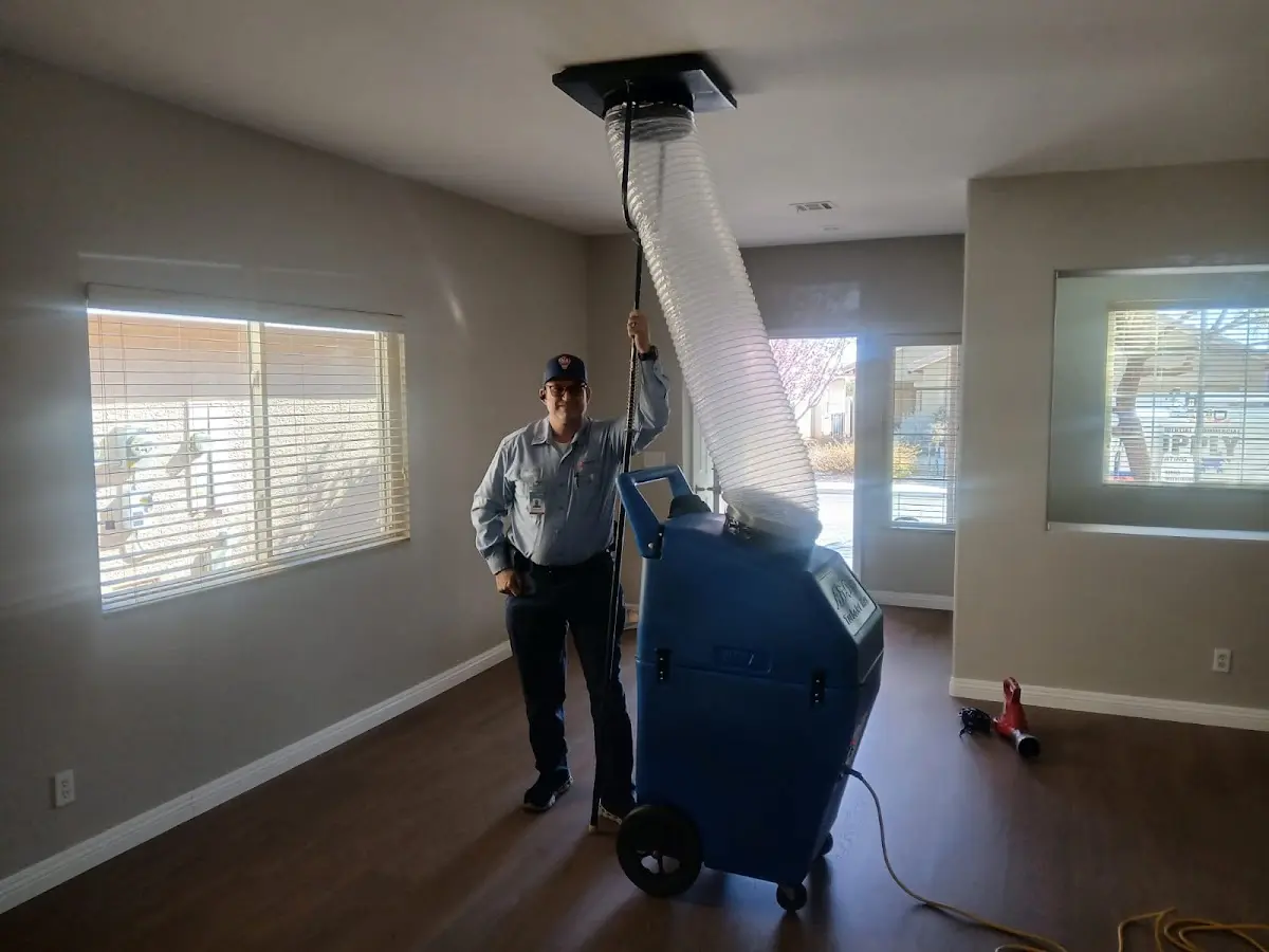 Professional Dryer Vent Cleaning work inside a Estherville home